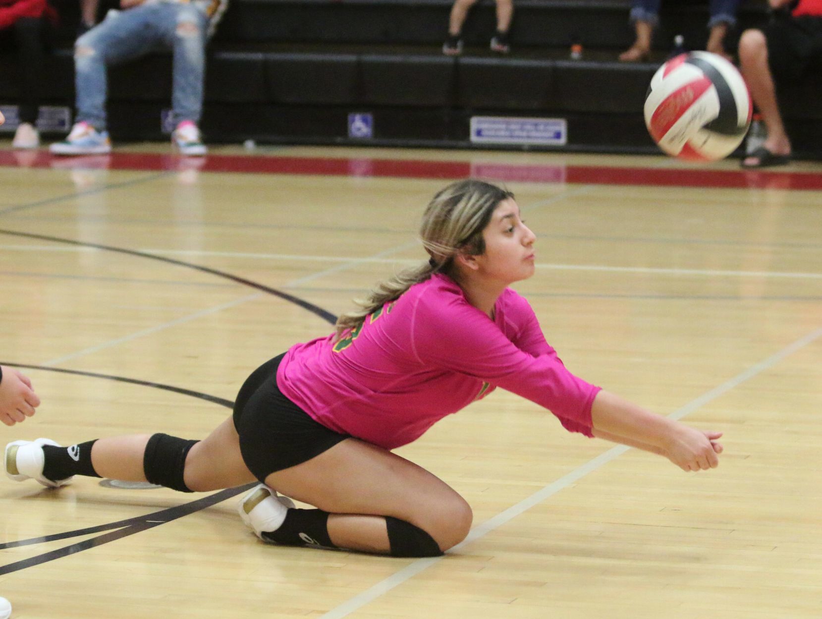 Golden Bears open season with victory over Bullpups